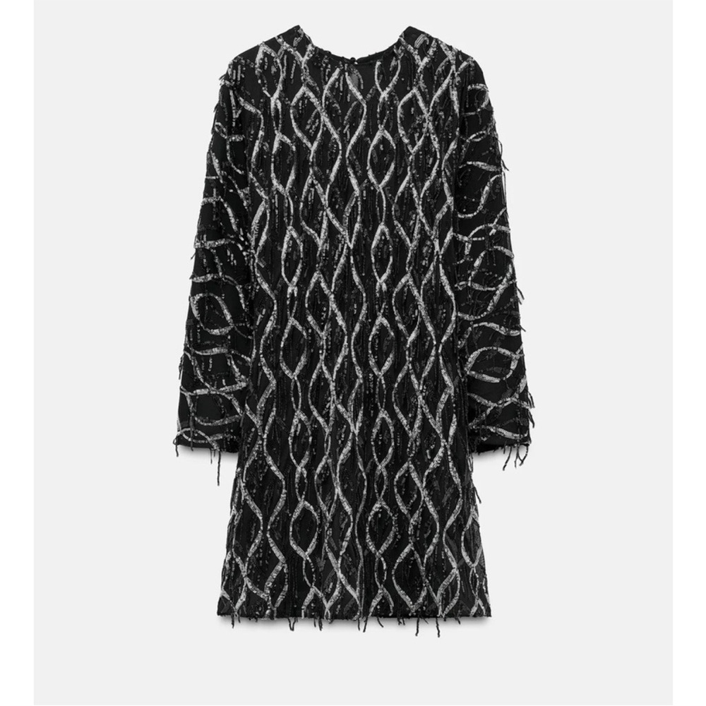 Nwt-Zara- SEQUIN FRINGED MINI DRESS - Picture 10 of 15